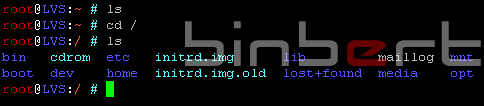 Linux with color fancy bash