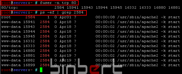 Linux port and service